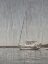 Picture of YACHT CLUB 5