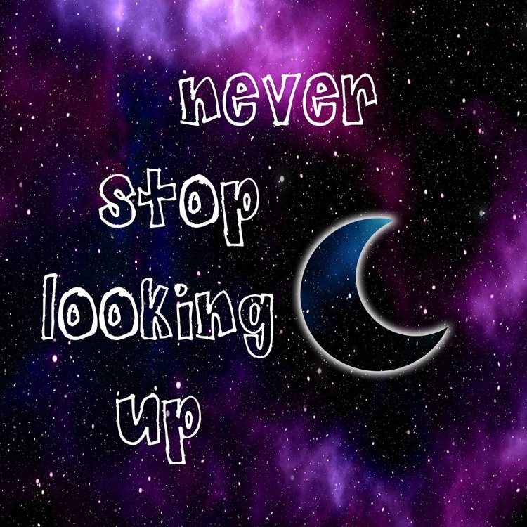 Picture of LOOKING UP
