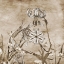 Picture of EARTH BALANCE 2