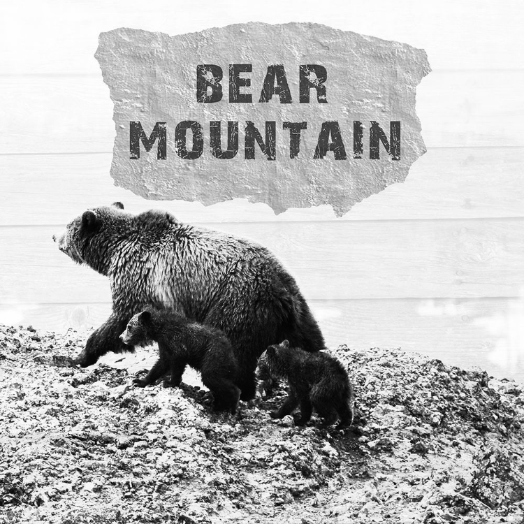 Picture of BEAR MOUNTAIN