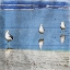 Picture of THREE IS COMPANY