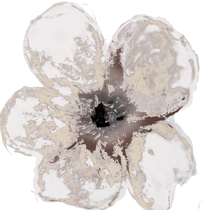 Picture of FLORAL-WHITE 2
