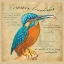 Picture of COMMON KINGFISHER