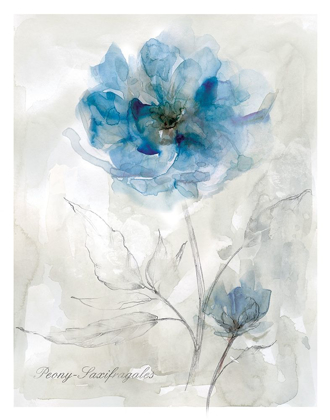 Picture of BLUE PEONY