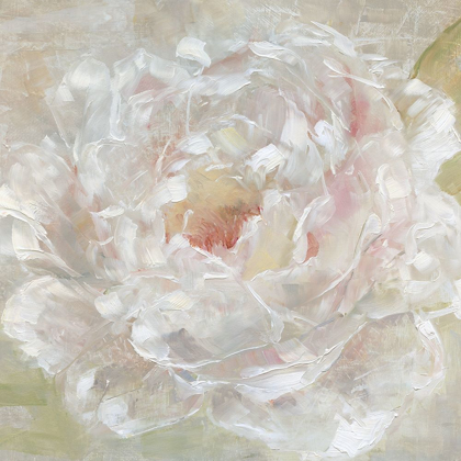 Picture of SUMMER ROMANCE II