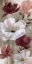 Picture of TRANSIENT GARDEN REDS I