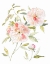 Picture of SKETCHBOOK COTTAGE ROSE II