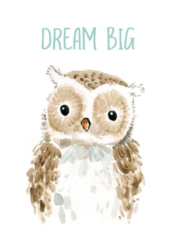 Picture of DREAM BIG OWL