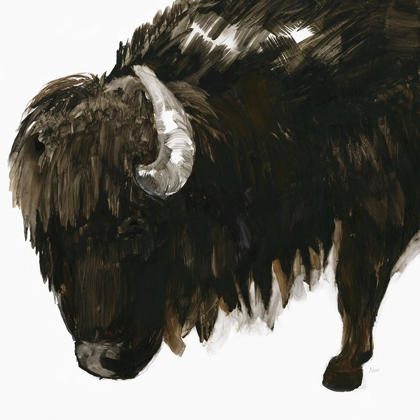 Picture of BISON BULL