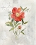 Picture of LINEN PEONY