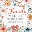 Picture of FAMILY LIFE BEGINS