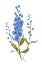 Picture of PETITE BOTANICAL I