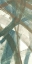 Picture of INTERTWINED I