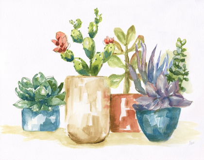 Picture of SUMMER SUCCULENTS I