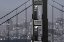 Picture of SKYLINE VIEW