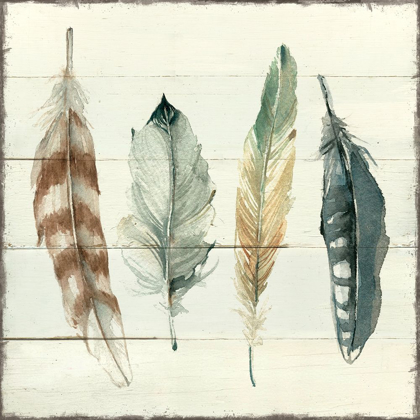 Picture of SHIPLAP FEATHERS I