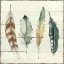 Picture of SHIPLAP FEATHERS I