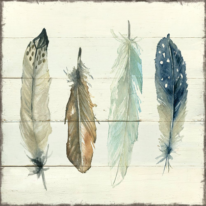 Picture of SHIPLAP FEATHERS II