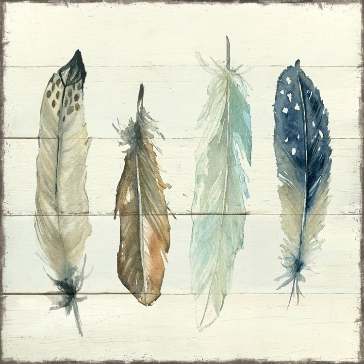 Picture of SHIPLAP FEATHERS II