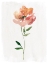 Picture of HAPPY BLOOM I