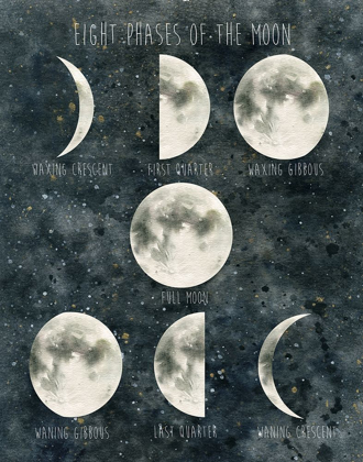 Picture of PHASES OF THE MOON