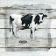 Picture of FARMHOUSE COLLAGE COW