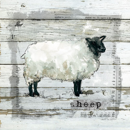 Picture of FARMHOUSE COLLAGE SHEEP