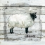 Picture of FARMHOUSE COLLAGE SHEEP
