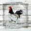 Picture of FARMHOUSE COLLAGE ROOSTER