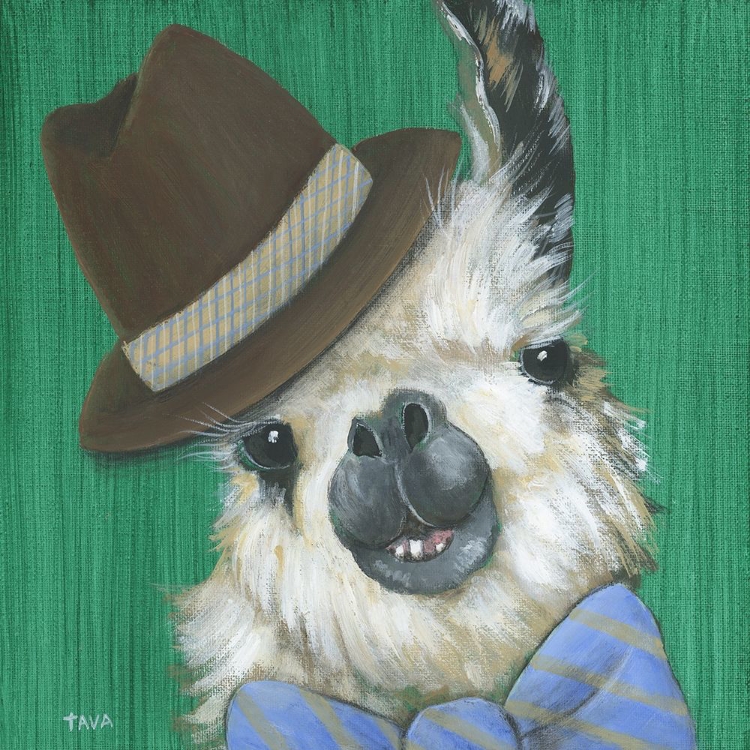 Picture of LLAMA GENTLEMAN