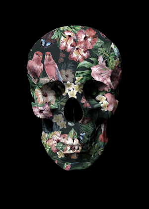 Picture of TROPIC SKULL