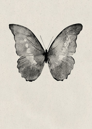 Picture of BLACK BUTTERFLY ON TAN