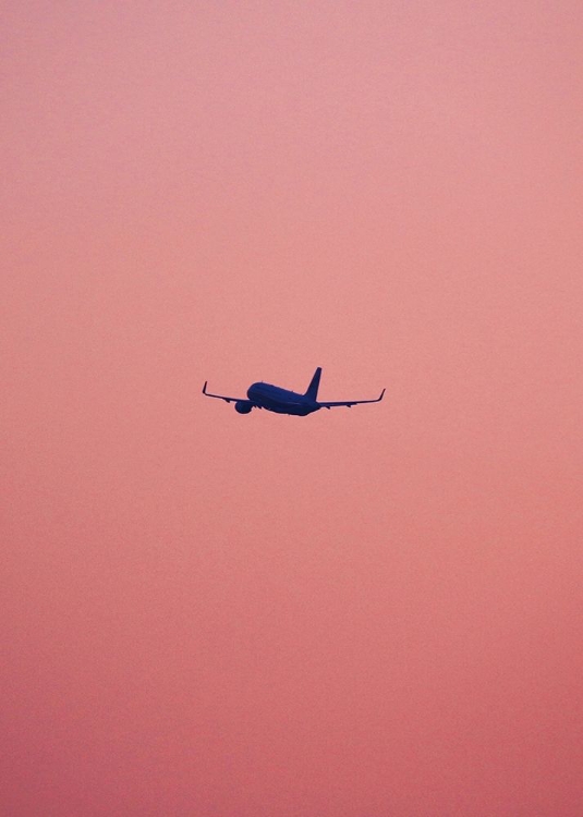 Picture of PINK FLIGHT