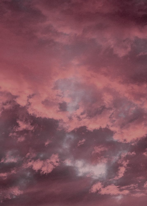 Picture of PINK SKY