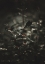 Picture of SECRET 7