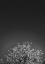 Picture of TWINKLING LIGHTS 1