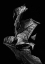 Picture of LEAF COMPOSITION, DARK
