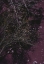 Picture of RIVER OF WINE