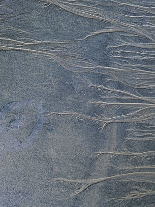 Picture of SAND FIBERS |I