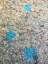 Picture of TURQUOISE AGGREGATE I