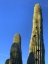 Picture of DESERT CANOPY II