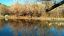 Picture of WILD HORSES III