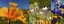 Picture of WILDFLOWER COLLAGE