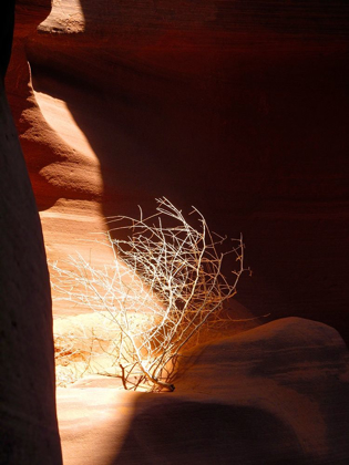 Picture of ANTELOPE CANYON V