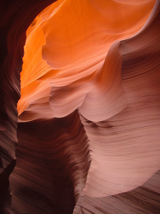 Picture of ANTELOPE CANYON VIII