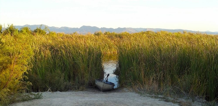 Picture of ROPER LAKE I: BOAT