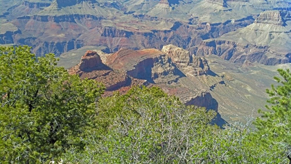 Picture of GRAND CANYON 3