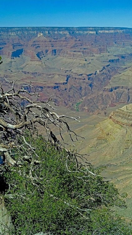 Picture of GRAND CANYON 4