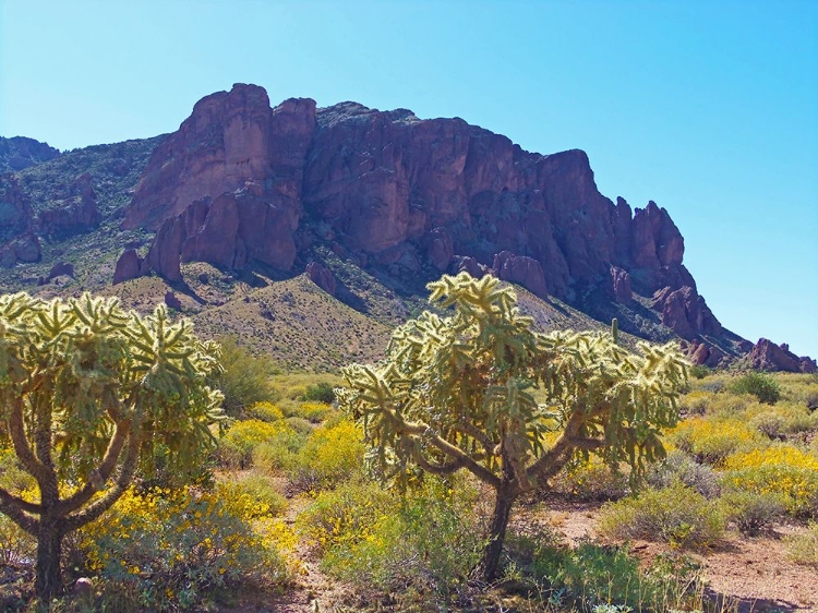 Picture of SUPERSTITION MOUNTAIN III