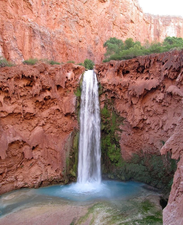 Picture of HAVASU FALLS: MOONEY FALLS